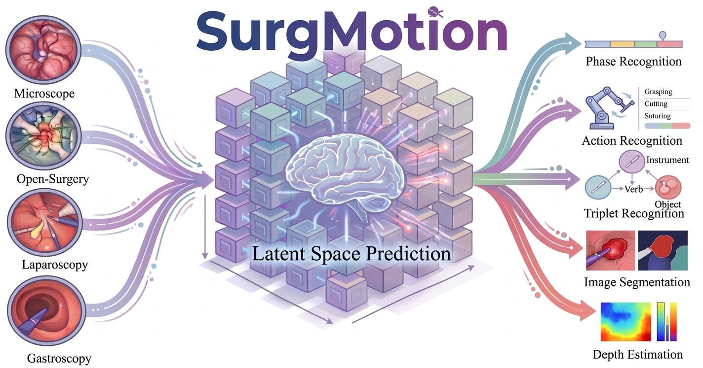 SurgMotion overview